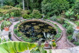 The Bath, a Victorian ornamental pond, renovated and transformed into an exotic poolside garden at Bodnant Garden in Wales