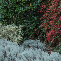 Sissinghurst, Kent, England,