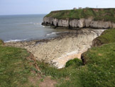 View of the North Sea from Bempton Cliffs, East Riding of Yorkshire, England