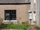 Spring flowers under a window in Kirkwall, Orkney, Scotland