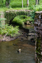 Bridge near Koch farm in St. Paul la Roche, Limousin, France