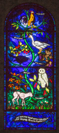 Tree of Life window by John Piper 20C
Iffley Church, England